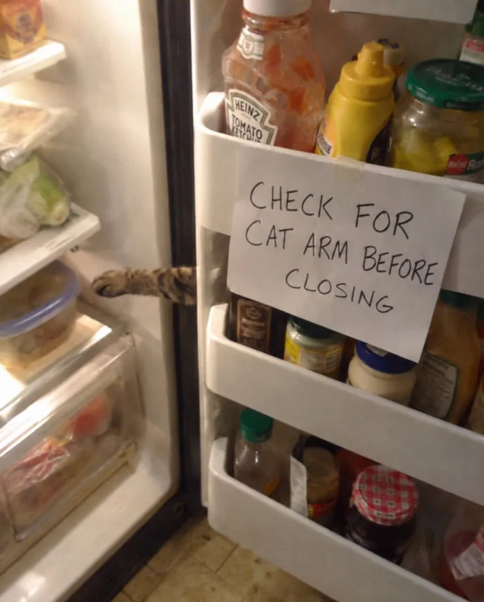 Standard fridge safety protocol for cat owners. A note taped to a refrigerator warning to check for a cat's arm before closing the door. Text: CHECK FOR CAT ARM BEFORE CLOSING