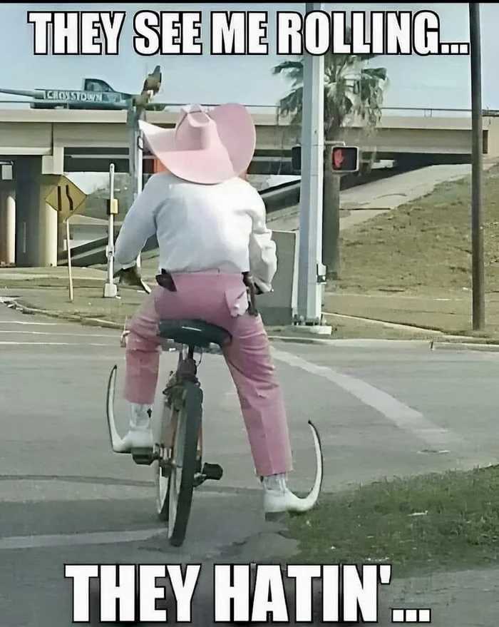 I’m on a roll. Person in pink cowboy outfit riding a bicycle with training wheels on a street. Text: THEY SEE ME ROLLING... / THEY HATIN'