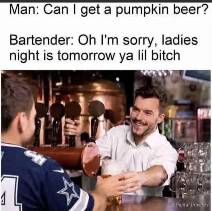 Fair call. Bartender jokes with customer about ladies night while smiling at bar counter. Text: Man: Can I get a pumpkin beer? / Bartender: Oh I'm sorry, ladies night is tomorrow ya lil bitch