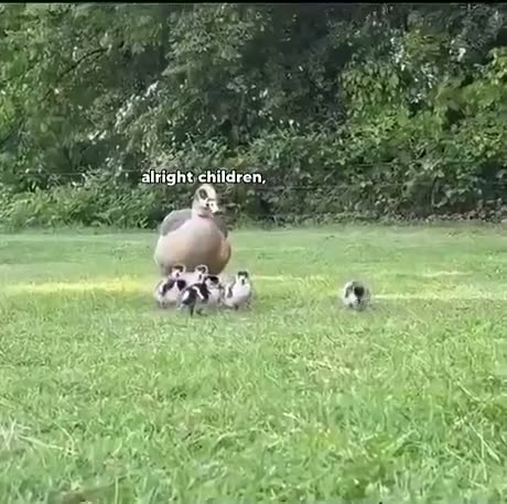 When you're the cool parent at the park