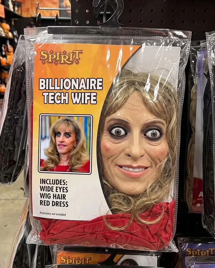 When Halloween costumes get a little too real. A Spirit Halloween costume package for a "Billionaire Tech Wife" with exaggerated facial features and blonde wig. Text: SPIRIT / BILLIONAIRE TECH WIFE / INCLUDES: WIDE EYES WIG HAIR RED DRESS / Accessory not included