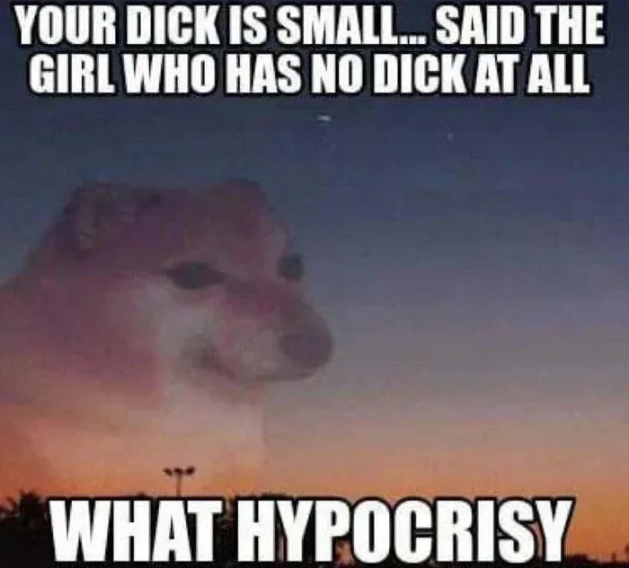 A dog's face against a sunset sky with text about hypocrisy regarding criticism. Text: YOUR DICK IS SMALL... SAID THE GIRL WHO HAS NO DICK AT ALL / WHAT HYPOCRISY