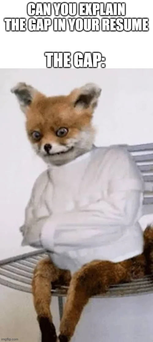 A fox in a white shirt sitting awkwardly on a bench with an uncomfortable smile, representing an unexplainable employment gap. Text: CAN YOU EXPLAIN THE GAP IN YOUR RESUME / THE GAP: