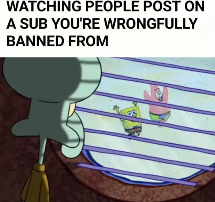 Painfully accurate. Squidward peering through venetian blinds at SpongeBob and Patrick outside, representing watching a subreddit while banned. Text: WATCHING PEOPLE POST ON A SUB YOU'RE WRONGFULLY BANNED FROM