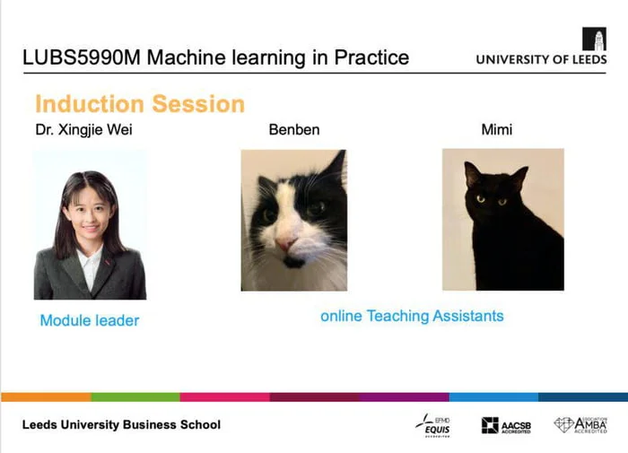 When your TAs are purr-fessionally qualified. University course introduction slide featuring an instructor and two cats labeled as online teaching assistants. Text: LUBS5990M Machine learning in Practice / UNIVERSITY OF LEEDS / Induction Session / Dr. Xingjie Wei / Benben / Mimi / Module leader /…
