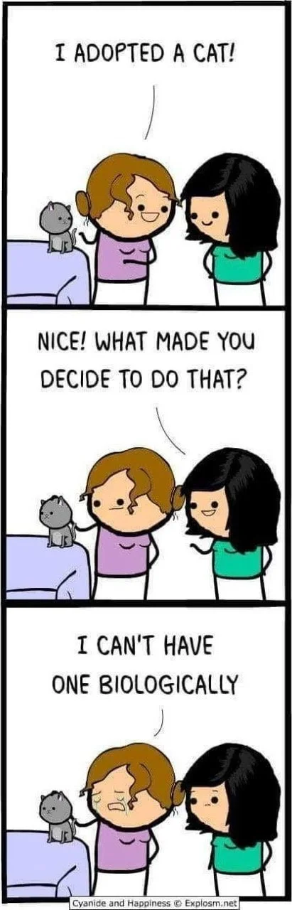 Biological incompatibility with cats. A person announces adopting a cat, and when asked why, reveals they cannot have one biologically. Text: I ADOPTED A CAT! / NICE! WHAT MADE YOU DECIDE TO DO THAT? / I CAN'T HAVE ONE BIOLOGICALLY / Cyanide and Happiness © Explosm.net