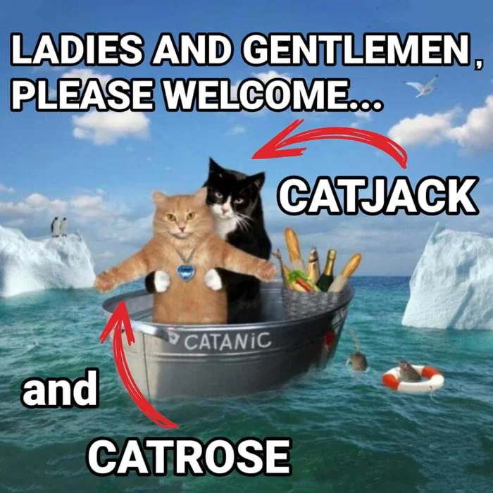 Two cats in a sinking boat labeled Catanic, parody of Titanic movie scene with cat puns. Text: LADIES AND GENTLEMEN, PLEASE WELCOME... / CATJACK / and / CATROSE / CATANIC