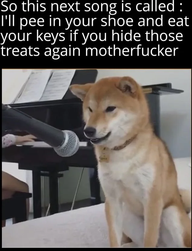 I dare you!. A Shiba Inu dog sits at a microphone in front of a piano, appearing to perform or sing. Text: So this next song is called : I'll pee in your shoe and eat your keys if you hide those treats again motherfucker