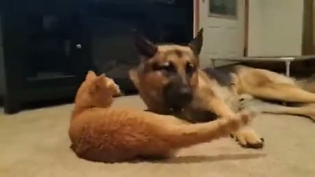 Tactical retreat before the next offensive
