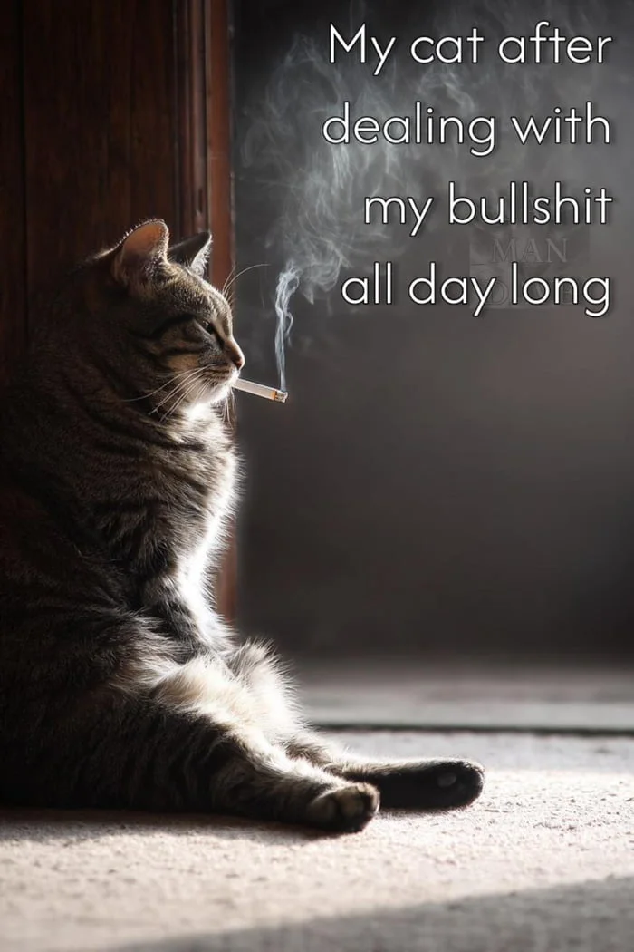 Needs a long break after that shift. A tabby cat smoking a cigarette while sitting by a window, looking exhausted and unimpressed. Text: My cat after dealing with my bullshit all day long