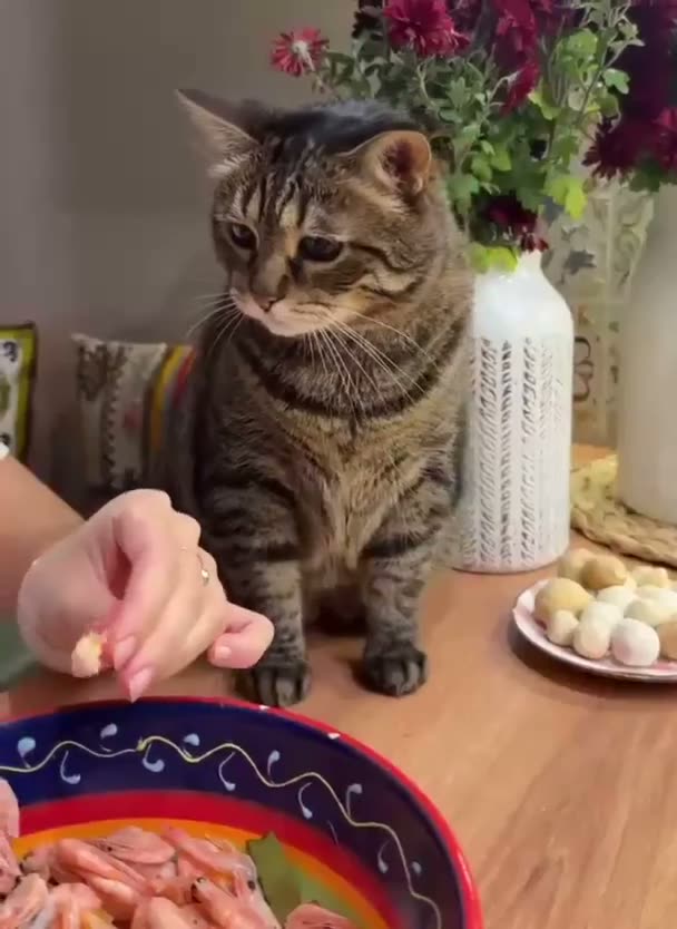 A tabby cat sits at a table with flowers, food, and decorative…