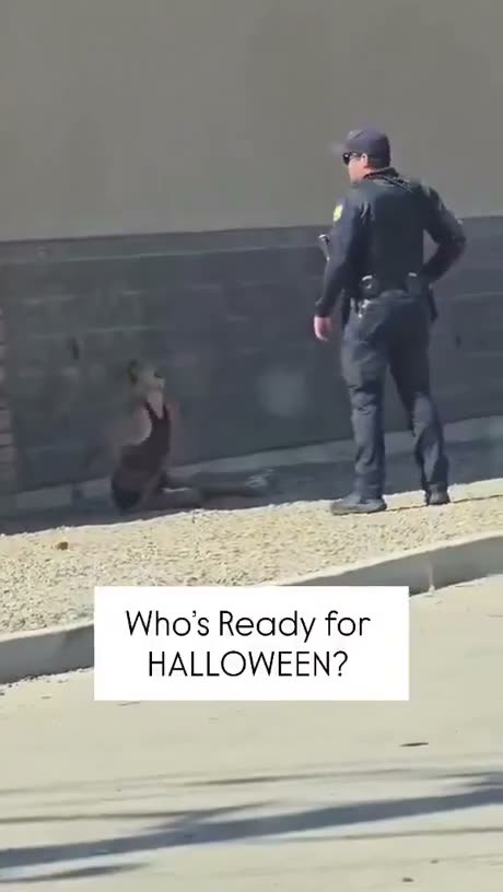Halloween tricks for 2026