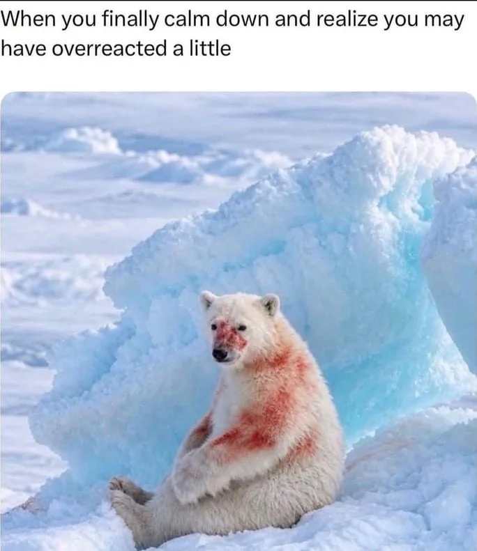 A bloodied polar bear sits in snow looking sheepish, depicting embarrassment after overreacting. Text: When you finally calm down and realize you may have overreacted a little