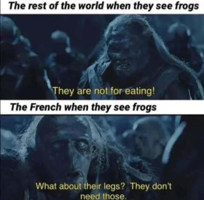 Meme contrasting how different cultures view frogs, with a joke about French cuisine and frog legs. Text: The rest of the world when they see frogs / They are not for eating! / The French when they see frogs / What about their legs? They don't need those