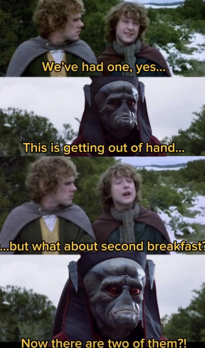 Lord of the Rings meme showing hobbits discussing breakfast with a menacing figure appearing twice. Text: We've had one, yes... / This is getting out of hand... / ...but what about second breakfast? / Now there are two of them?!