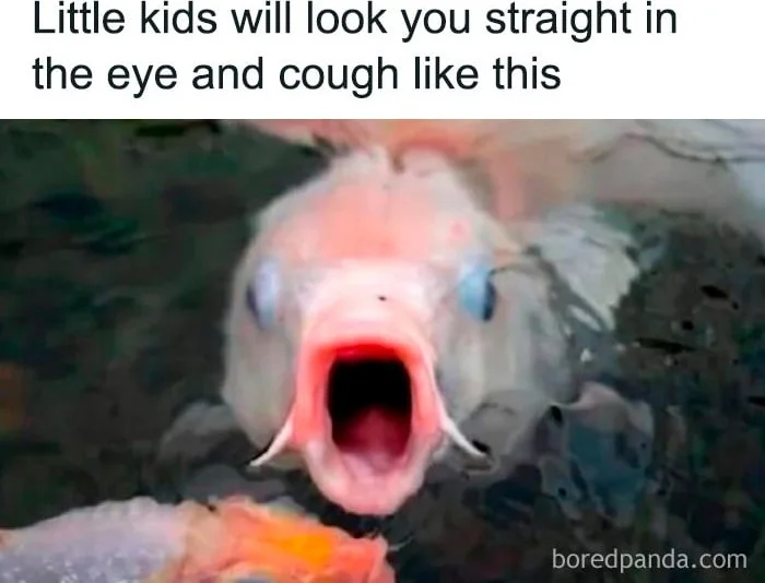 A fish with its mouth wide open facing the camera, appearing to cough directly forward. Text: Little kids will look you straight in the eye and cough like this / boredpanda.com