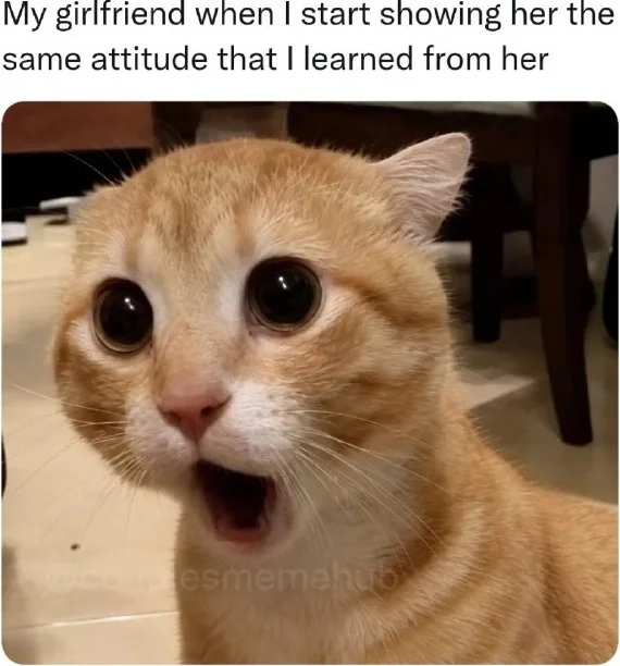 An orange cat with wide surprised eyes and open mouth expressing shock or disbelief. Text: My girlfriend when I start showing her the same attitude that I learned from her