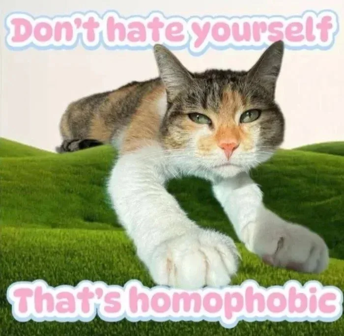 Peace. A cat lying on grass with a serious expression delivers a message about self-acceptance. Text: Don't hate yourself / that's homophobic