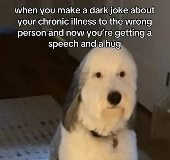 A white fluffy dog with an awkward, uncomfortable expression on its face. Text: when you make a dark joke about your chronic illness to the wrong person and now you're getting a speech and a hug