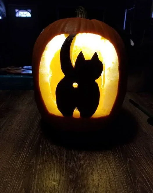 A carved jack-o'-lantern pumpkin illuminated from within shows a silhouette of a cat against the glowing interior