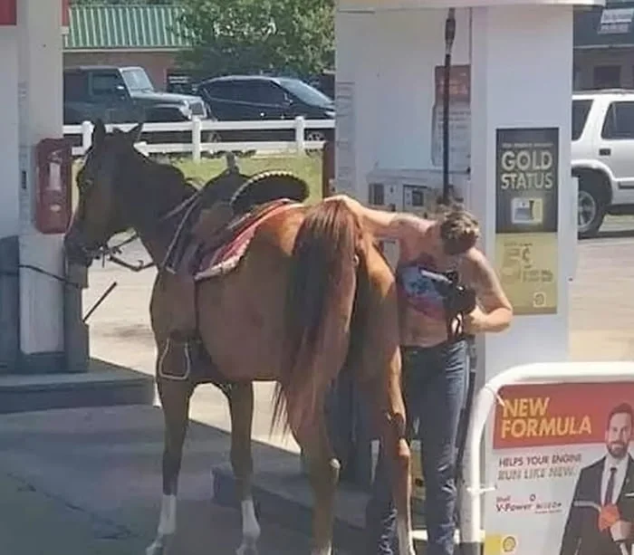 Fill her up. Person saddling a brown horse at what appears to be a gas station or parking lot. Text: GOLD STATUS / NEW FORMULA / HELPS YOUR BRONC BUCK LIKE NEW