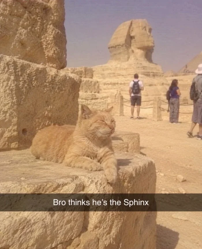 An orange cat sits among ancient Egyptian ruins with the Great Sphinx visible in the background. Text: Bro thinks he's the Sphinx
