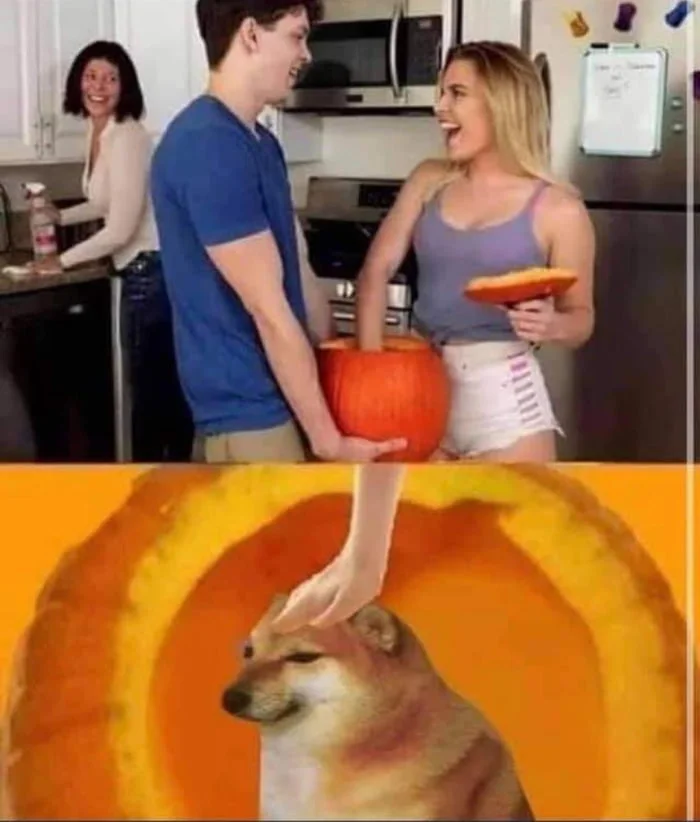 Spooky pumpkin. Meme showing people in a kitchen with pumpkins above a dog's judgmental expression
