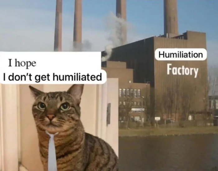 Cat with worried expression faces an industrial factory building labeled 'Humiliation Factory'. Text: I hope I don't get humiliated / Humiliation Factory
