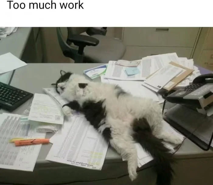 Spirit animal found. A black and white cat sprawls exhausted across a cluttered office desk covered with papers and work materials. Text: Too much work