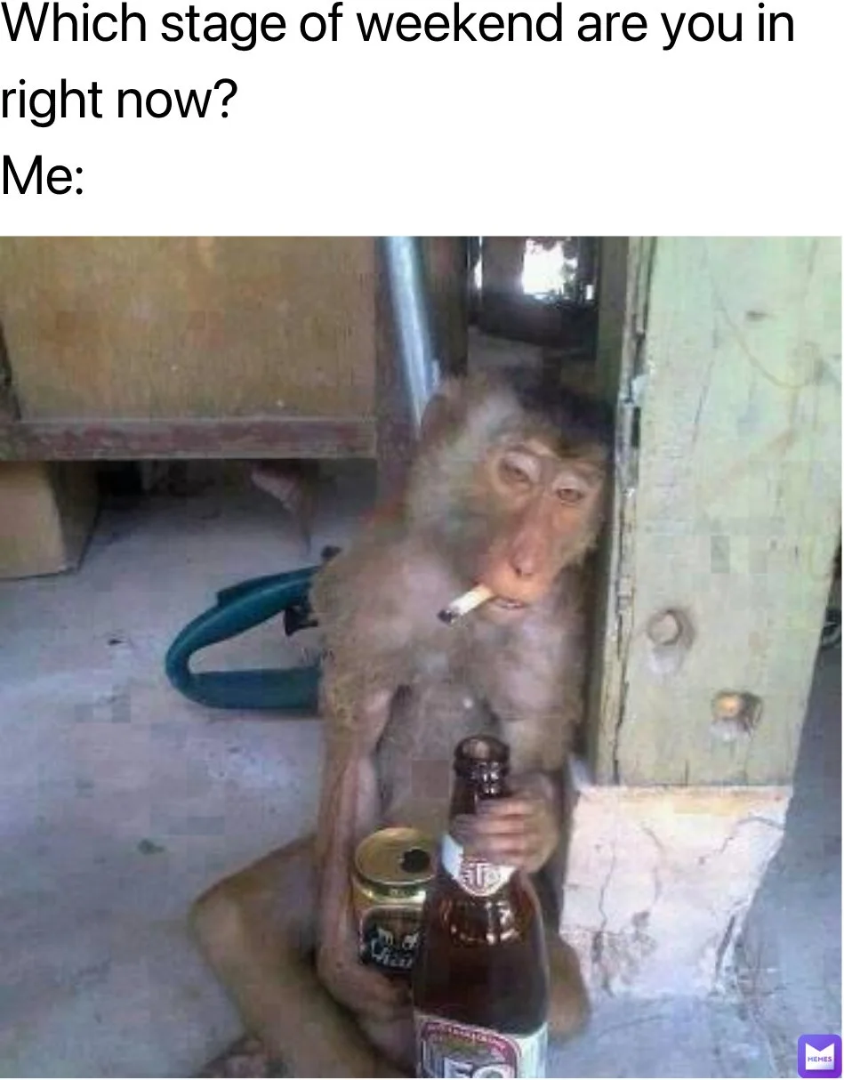 Living my best weekend life. A monkey smoking a cigarette and holding beer bottles, depicting an exhausted weekend state. Text: Which stage of weekend are you in right now? / Me:
