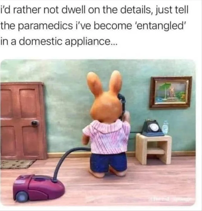 Cartoon rabbit character tangled in a vacuum cleaner cord in a living room. Text: i'd rather not dwell on the details, just tell the paramedics i've become 'entangled' in a domestic appliance