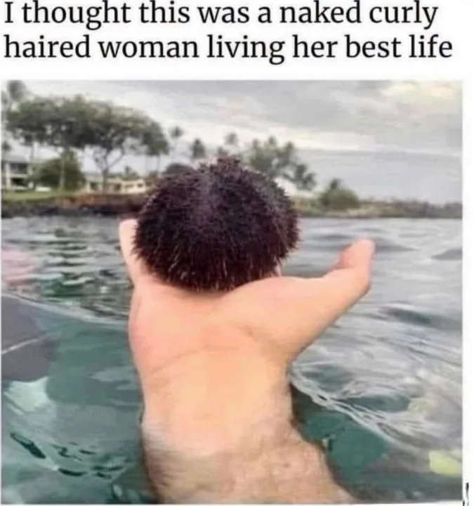 Took me a few seconds. Person in ocean with arms raised, viewed from behind showing dark curly hair, creating optical illusion. Text: I thought this was a naked curly haired woman living her best life