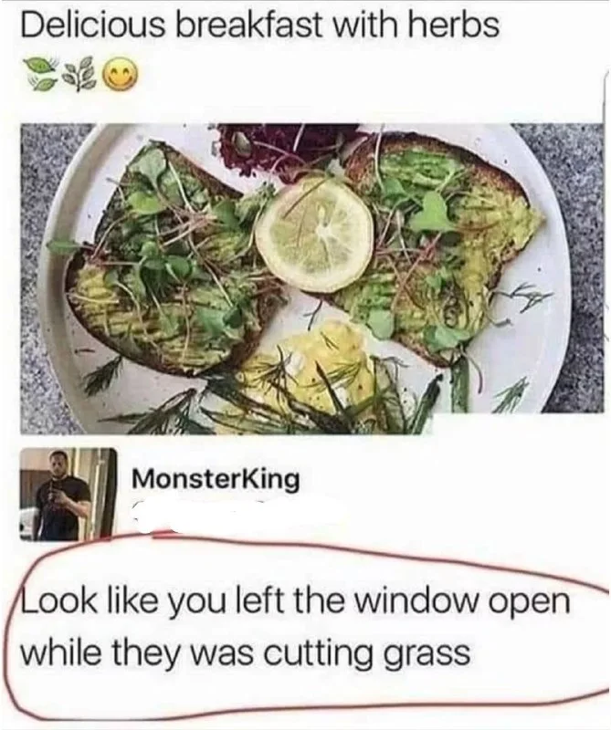 Avocado toast with excessive grass and plant clippings, humorously criticized as looking like lawn debris. Text: Delicious breakfast with herbs / MonsterKing / Look like you left the window open while they was cutting grass