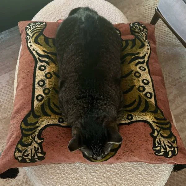 The perfect cat pillow. A dark cat stretches across a decorative cushion with ornate gold and black patterns on a cream-colored surface