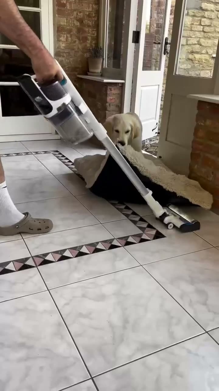 A person uses a handheld vacuum to clean a tile floor while a…