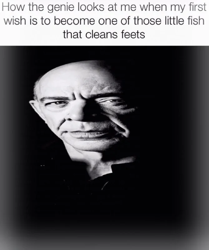 Black and white photo of a person with a skeptical, disapproving facial expression. Text: How the genie looks at me when my first wish is to become one of those little fish that cleans feets