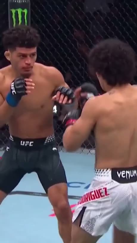 Two UFC fighters in combat stance inside the octagon during a match.