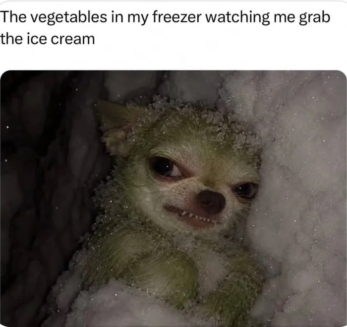 Frozen veggies judging my dessert choices