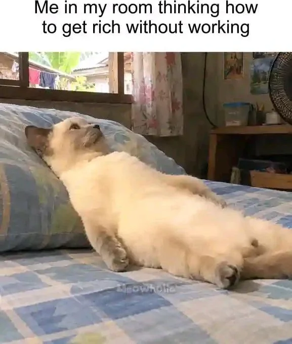 A cat lying sprawled on a bed looking up pensively in contemplation. Text: Me in my room thinking how to get rich without working