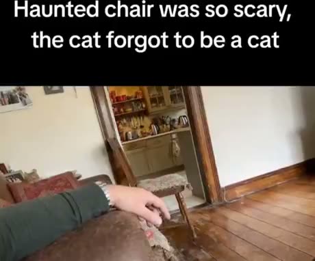 Time to get a new house hooman!