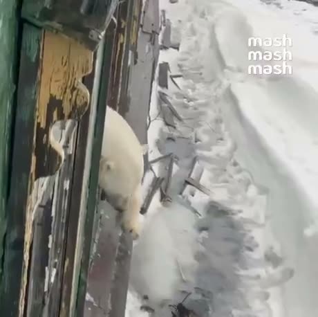 Just another day at the Arctic weather station