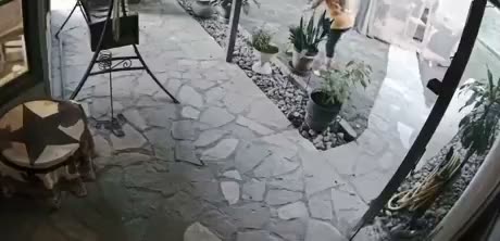 Slip & fall compilation