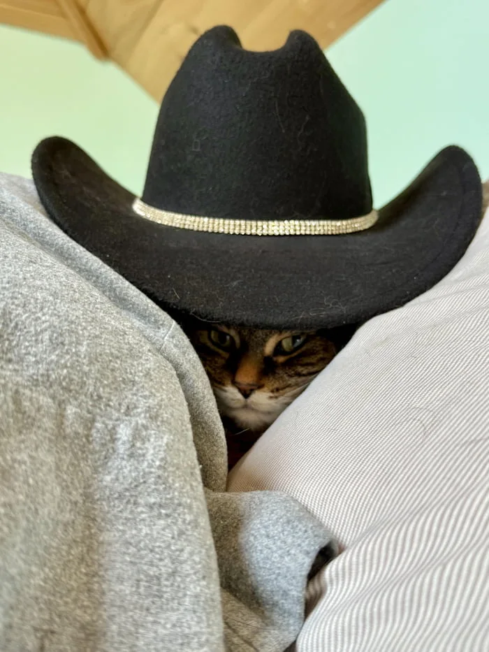 Sheriff is ready to enforce some nap times. A tabby cat wearing a black cowboy hat with a rhinestone band, peeking between two people's shoulders