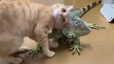 When opposites realize they complete each other