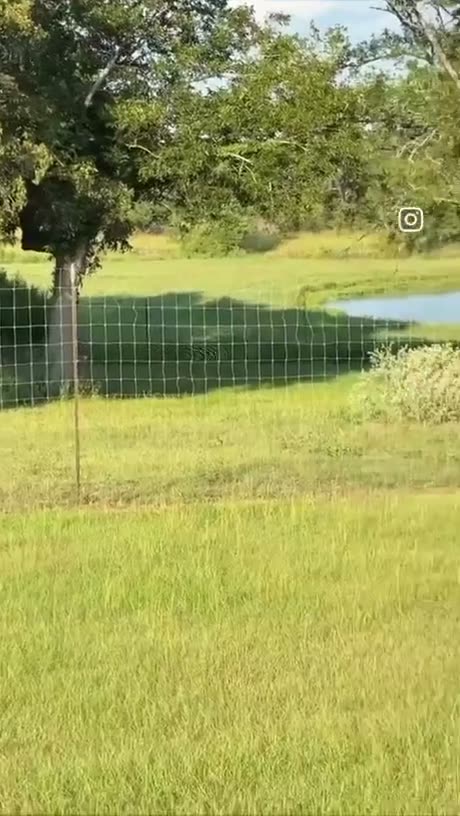 Rural landscape with green pasture, fence, trees, and a small pond…
