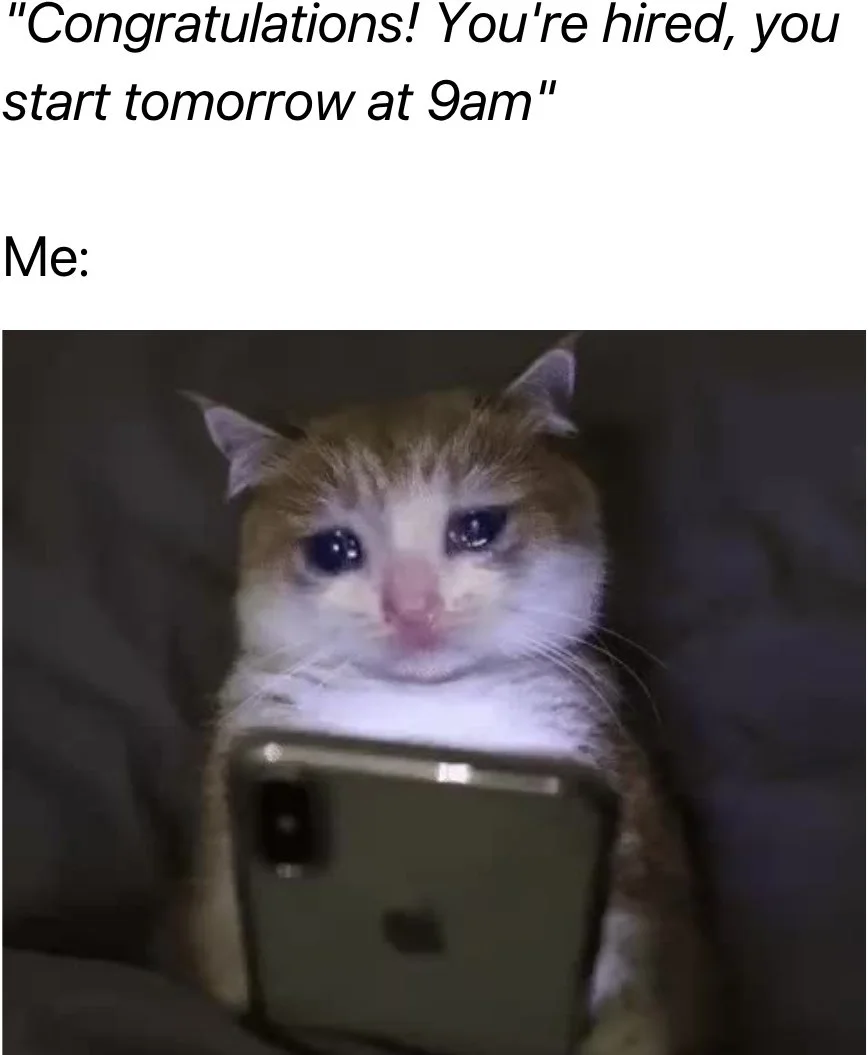 When the job starts before you're ready. A cat with wide eyes holding a smartphone, appearing shocked and anxious about starting work tomorrow morning. Text: "Congratulations! You're hired, you start tomorrow at 9am" / Me: