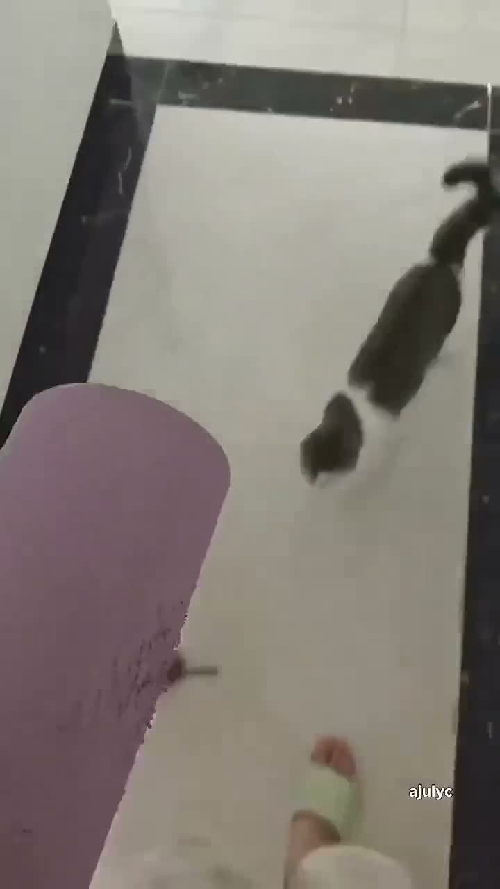 A cat climbs up the inside of a window frame while someone watches…