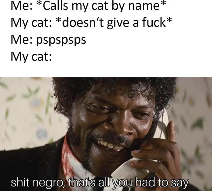 A man's smiling face illustrating how cats respond to pspspspsps sounds rather than their actual names. Text: Me: *Calls my cat by name* / My cat: *doesn't give a fuck* / Me: pspspspsps / My cat: / shit negro, that's all you had to say
