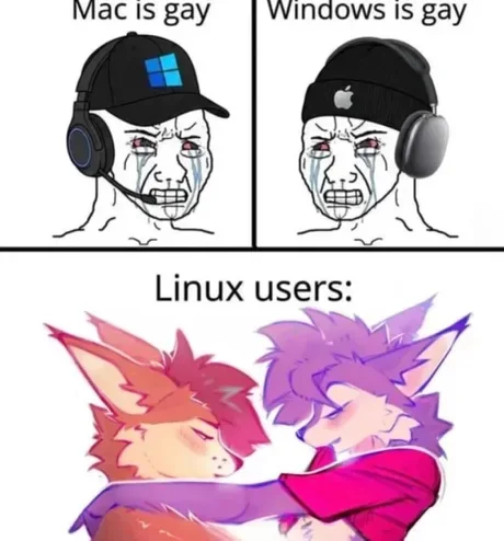 Every operating system debate needs a Linux person. Meme comparing OS users' reactions, with Linux users depicted as anime characters embracing. Text: Mac is gay / Windows is gay / Linux users: