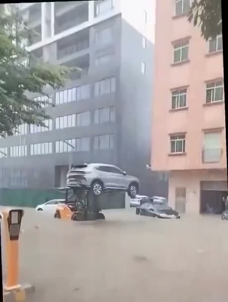 Forklift Certified approved